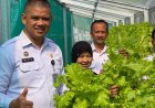 Panen Selada Hidroponik Tahap II, Rutan Wonosobo Buktikan Program Pembinaan Produktif 