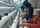 Kembangkan Keterampilan dan Ketahanan Pangan, Peserta Magang Tanam Pakcoy Hidroponik