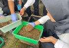 Langkah Nyata Pembinaan Produktif, Rutan Kelas IIB Wonosobo laksanakan Panen Maggot